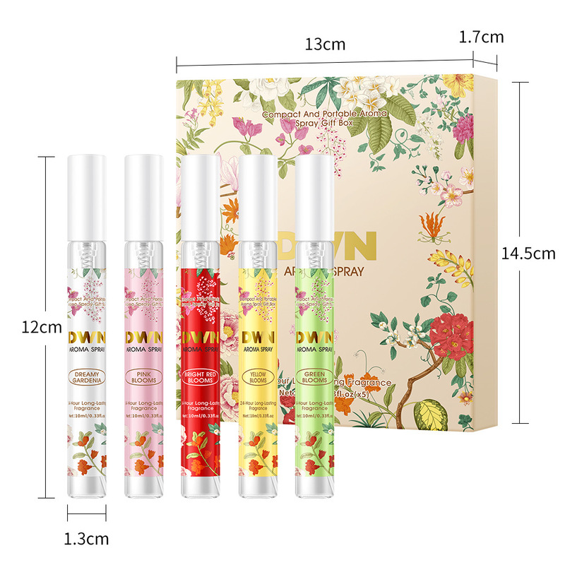 Household Indoor Mist Spray 5P - đánh giá và giá Laptops